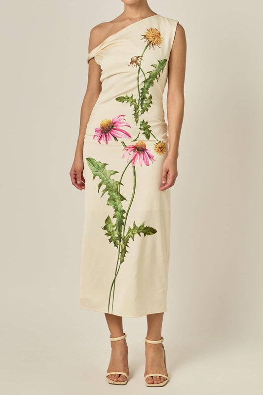 jane dress