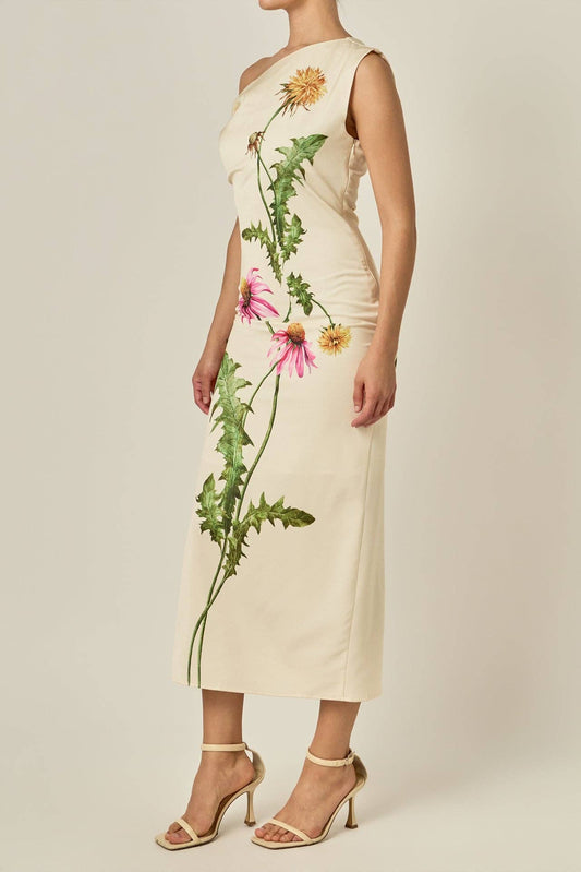 jane dress