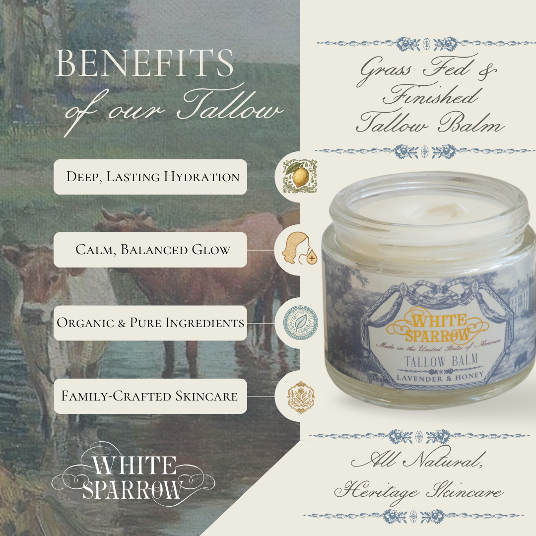 organic lavender + honey tallow balm